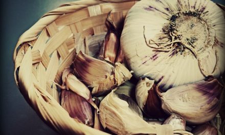 Česnek – královská bylina
