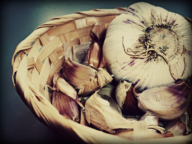 Česnek – královská bylina