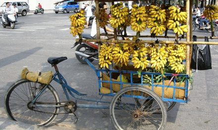 Proč si zamilovat banány